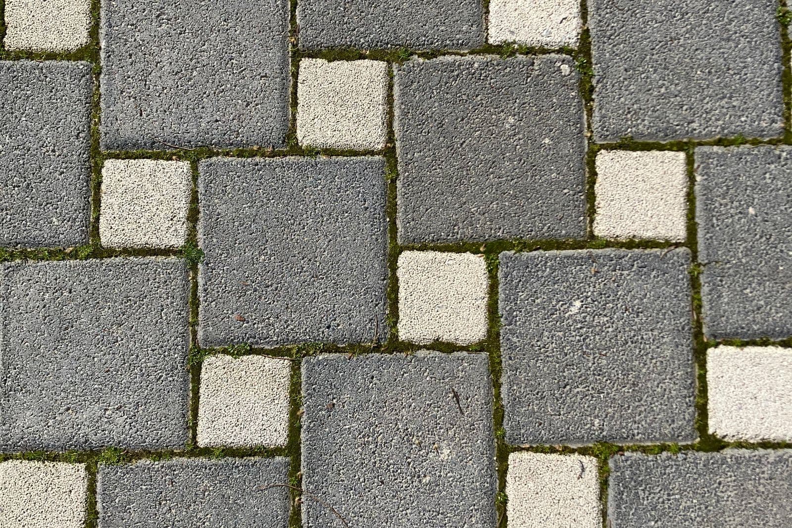 Old, mossy, tired driveway before