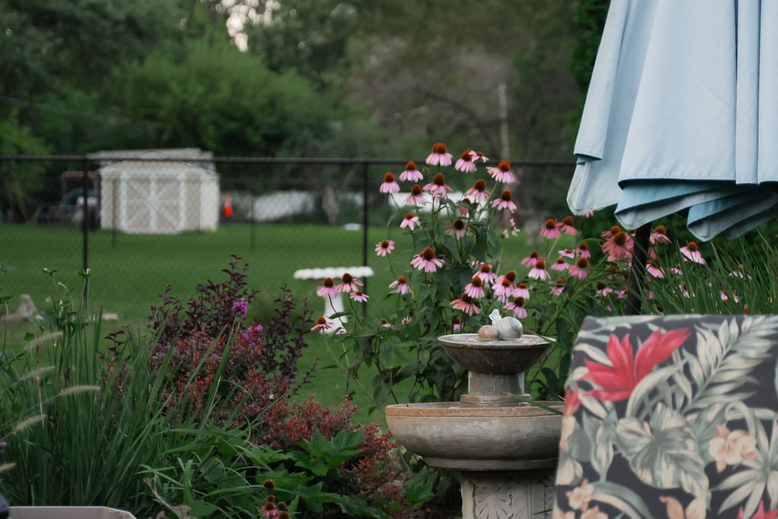 Planting schemes